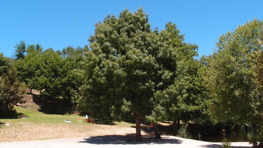Aldeia Do Codecal Konuk evi Codecal  Dış mekan fotoğraf