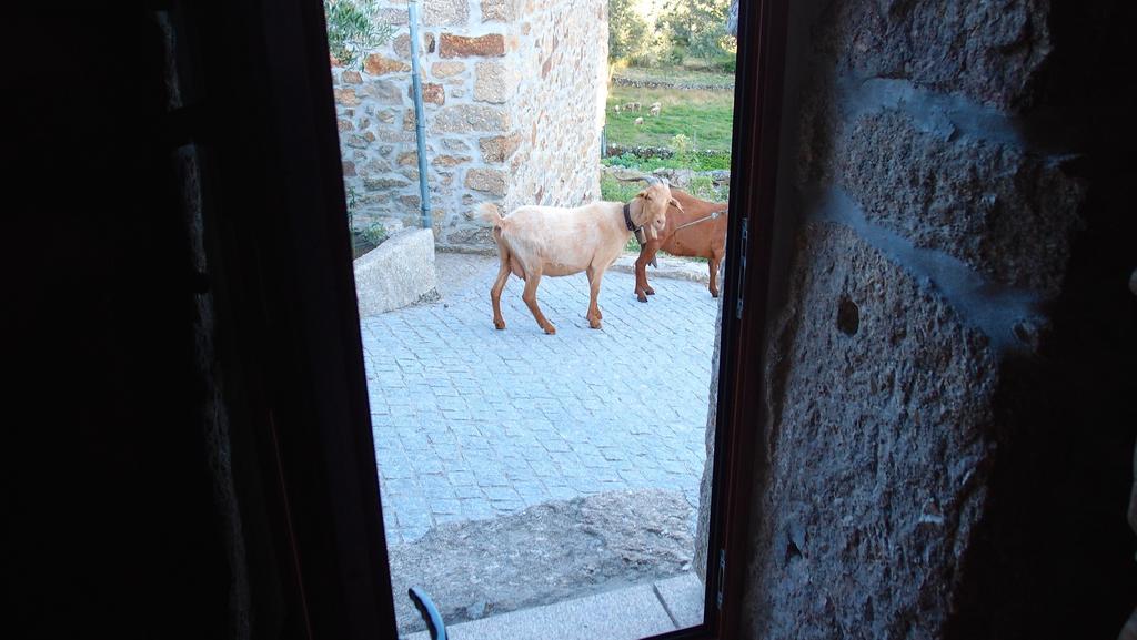 Aldeia Do Codecal Konuk evi Codecal  Oda fotoğraf