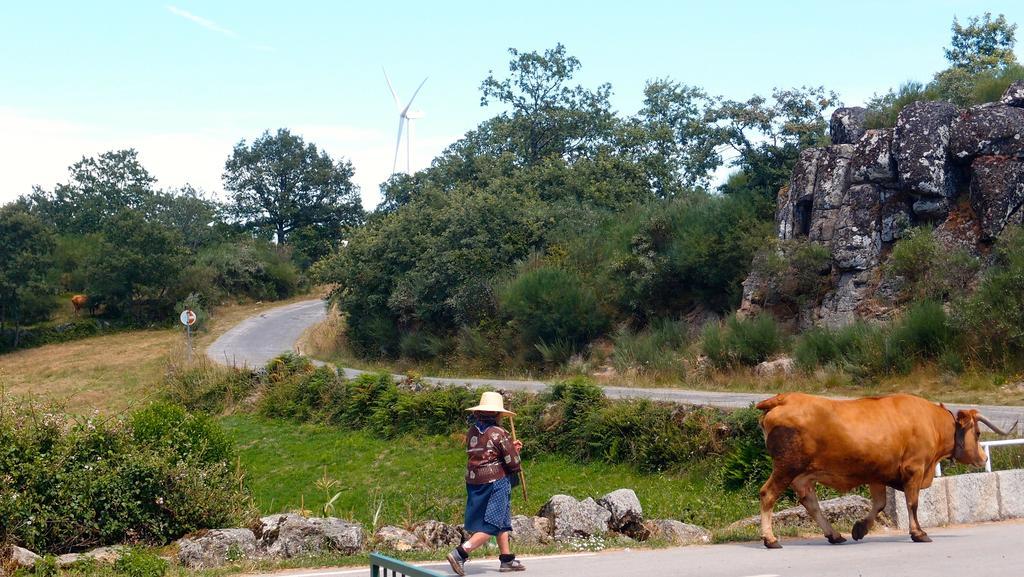 Aldeia Do Codecal Konuk evi Codecal  Dış mekan fotoğraf